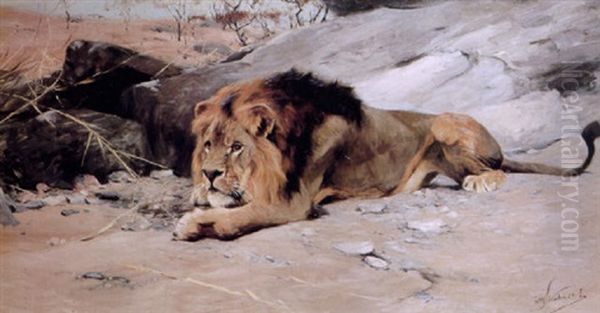 Lion Reclining In A Rocky Landscape Oil Painting by Wilhelm Friedrich Kuhnert