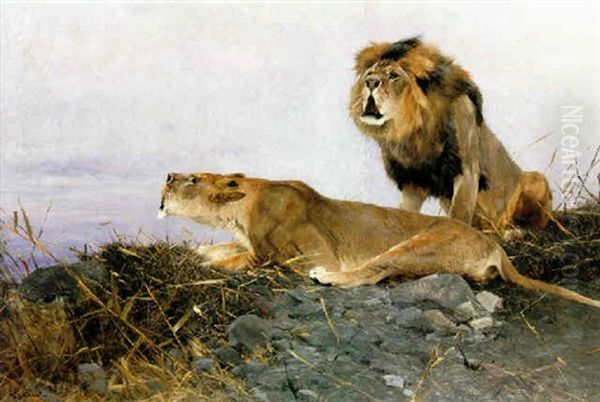 Brullende Lowen (roaring Lions) Oil Painting by Wilhelm Friedrich Kuhnert