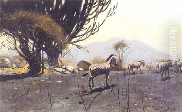 A Herd Of Zebras Oil Painting by Wilhelm Friedrich Kuhnert