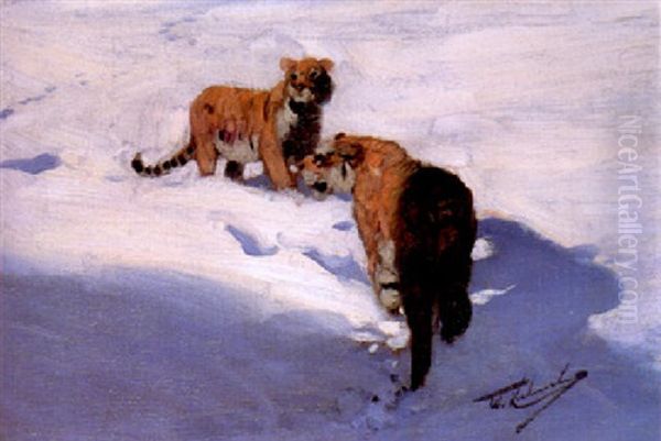 Siberian Tigers In The Snow Oil Painting by Wilhelm Friedrich Kuhnert