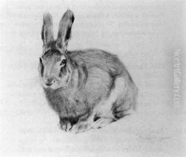 Hare Oil Painting by Wilhelm Friedrich Kuhnert