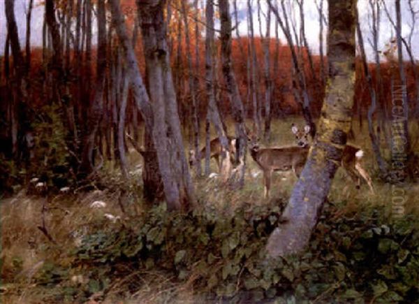 Deer In A Forest by Wilhelm Friedrich Kuhnert