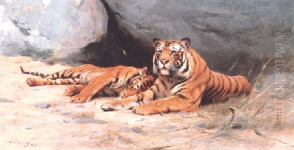 Tigers Resting by Wilhelm Friedrich Kuhnert