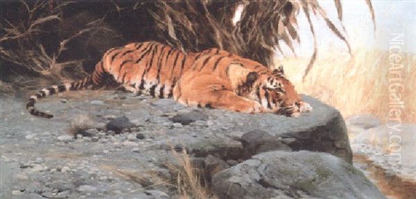 A Tigress Watching For Prey Oil Painting by Wilhelm Friedrich Kuhnert