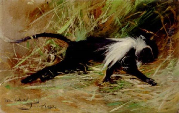 A Sleeping Monkey Oil Painting by Wilhelm Friedrich Kuhnert