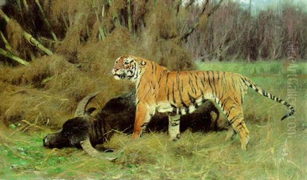 A Tiger With Its Prey Oil Painting by Wilhelm Friedrich Kuhnert