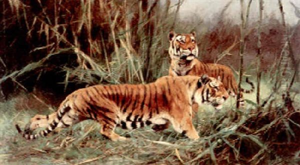 Tigers In Elephant Grass Oil Painting by Wilhelm Friedrich Kuhnert