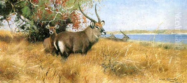 Antelope By A River Oil Painting by Wilhelm Friedrich Kuhnert