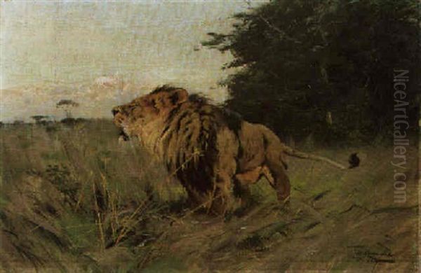 A Prowling Lion Oil Painting by Wilhelm Friedrich Kuhnert