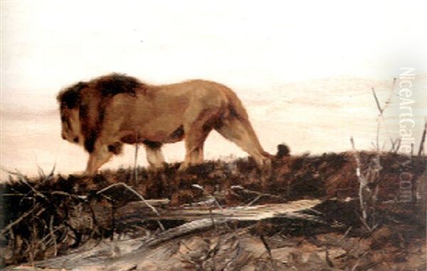 A Lion Stalking Oil Painting by Wilhelm Friedrich Kuhnert