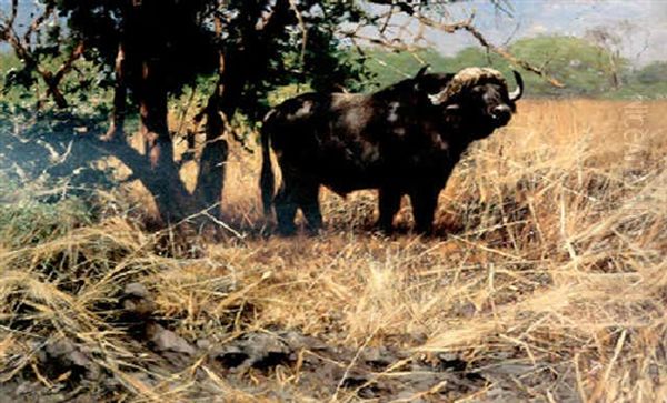 Cape Buffalo Oil Painting by Wilhelm Friedrich Kuhnert