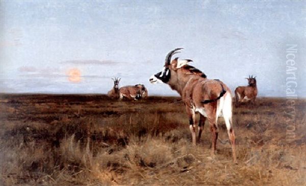 Roan Antelope At Sunset Oil Painting by Wilhelm Friedrich Kuhnert