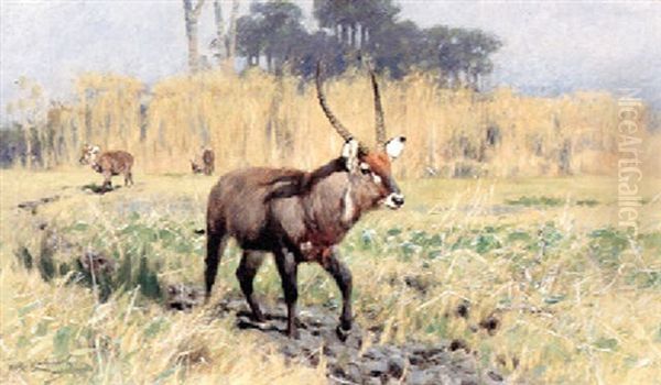 Waterbuck Oil Painting by Wilhelm Friedrich Kuhnert