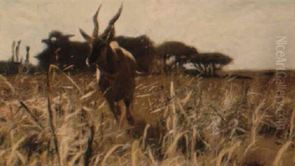 Galoppierende Gazelle In Der Savanne Oil Painting by Wilhelm Friedrich Kuhnert