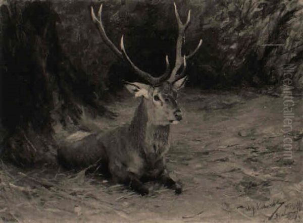 Ein Lagernder Hirsch Oil Painting by Wilhelm Friedrich Kuhnert