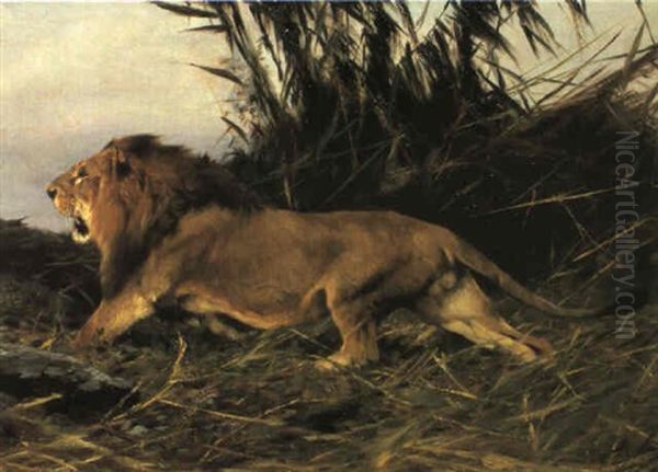 The Fleeting Lion Oil Painting by Wilhelm Friedrich Kuhnert