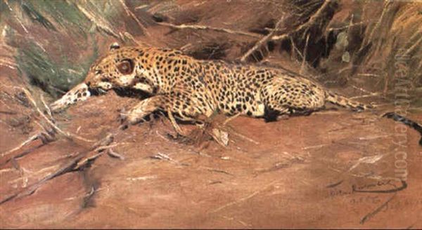 Ein Leopard by Wilhelm Friedrich Kuhnert