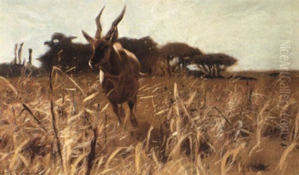 An Antelope In The Savannah Oil Painting by Wilhelm Friedrich Kuhnert