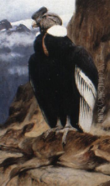 The Condor Oil Painting by Wilhelm Friedrich Kuhnert