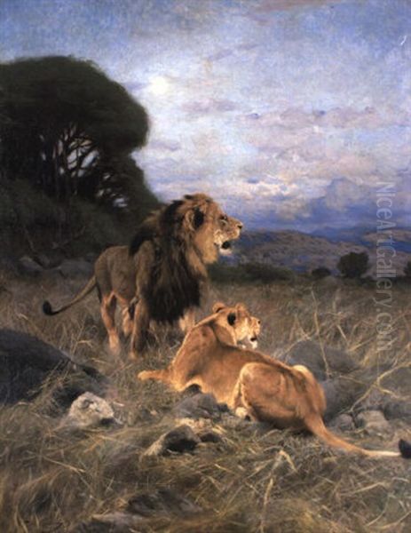 African Lions Oil Painting by Wilhelm Friedrich Kuhnert