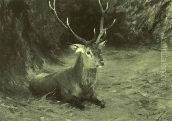 Resting Stag Oil Painting by Wilhelm Friedrich Kuhnert