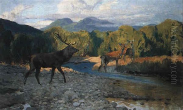 Hirsch Und Hirschkuehe Am Waldbach Oil Painting by Wilhelm Friedrich Kuhnert