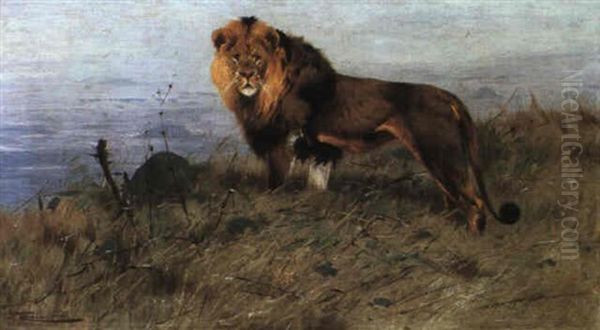 A Lion Stalking Oil Painting by Wilhelm Friedrich Kuhnert