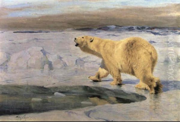 Polar Bear Oil Painting by Wilhelm Friedrich Kuhnert