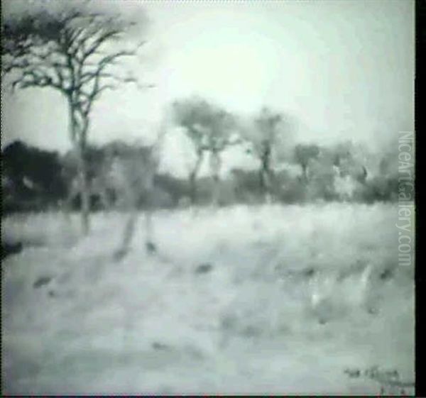 Savannenlandschaft Im Sudan by Wilhelm Friedrich Kuhnert