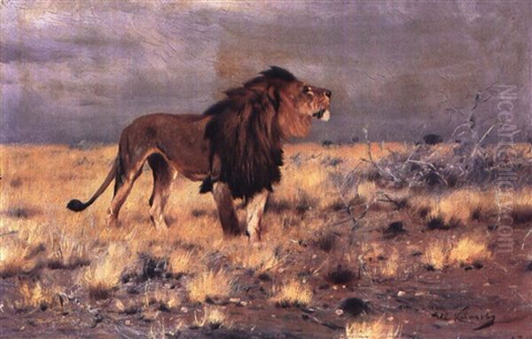 On The Look-out Oil Painting by Wilhelm Friedrich Kuhnert