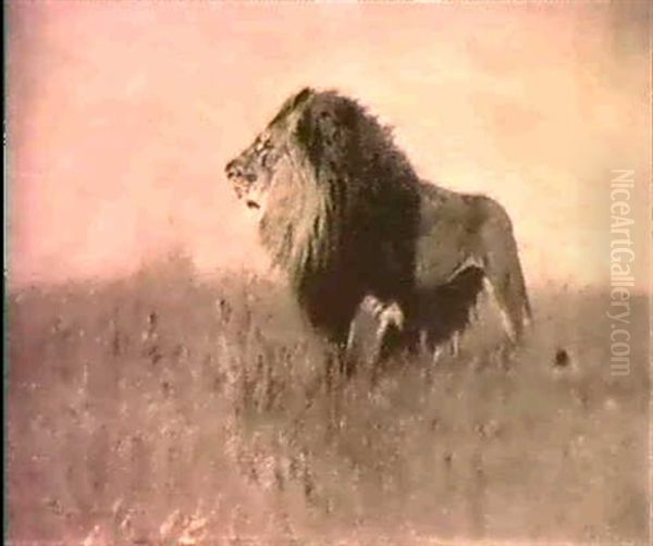 King Of The Jungle - A Study Oil Painting by Wilhelm Friedrich Kuhnert