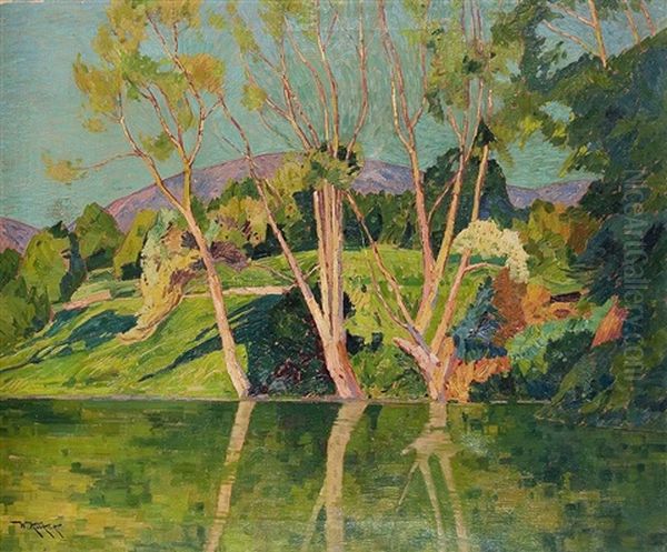 Sich Spiegelnde Baume Am Ufer Oil Painting by Willhelm Kukuk