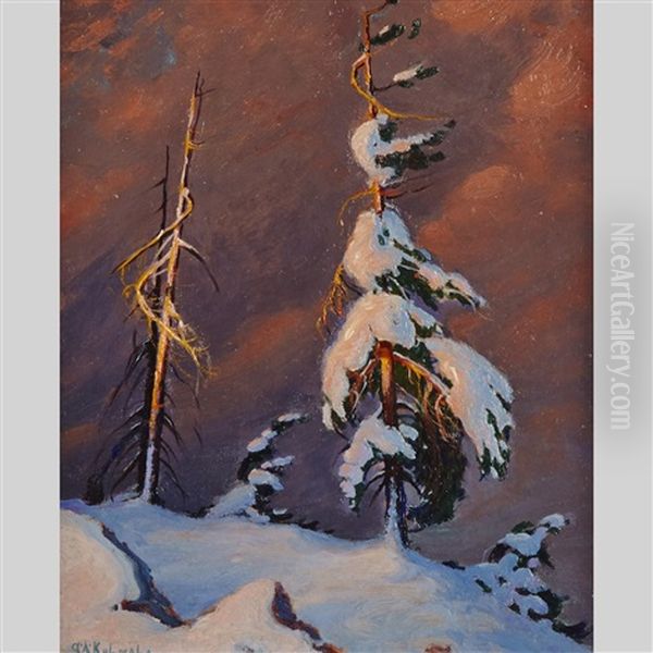 Snow-laden Windswept Pine Oil Painting by George Arthur Kulmala