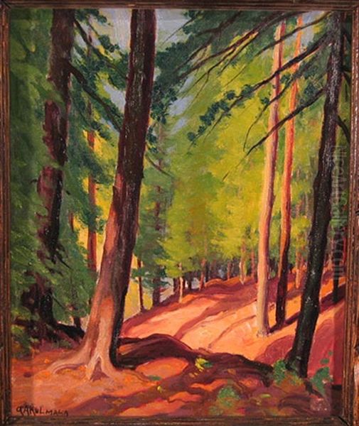 Sunlight Shadows Oil Painting by George Arthur Kulmala