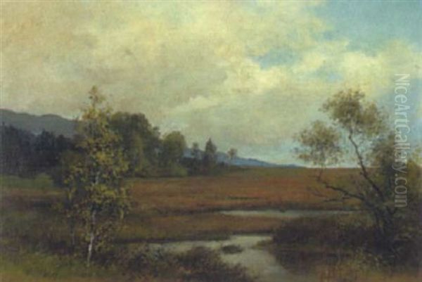 Moorlandschaft Bei Salzburg Oil Painting by Franz Kulstrunk