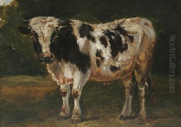 Junges Geflecktes Rind, Nach Links Stehend Oil Painting by Karl Kuntz