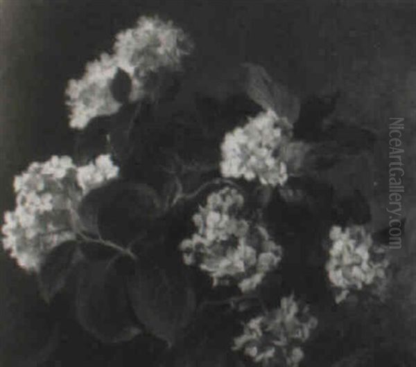 Hydrangeas Oil Painting by Ludwig Adam Kunz