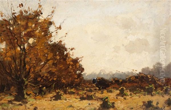 Autumn Forest Oil Painting by Cornelis Kuypers