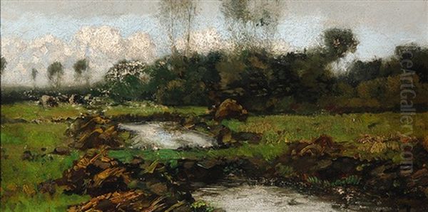 Meadow With Two Ponds Oil Painting by Cornelis Kuypers