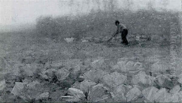 A Peasant Working In A Cabbage Field Oil Painting by Cornelis Kuypers