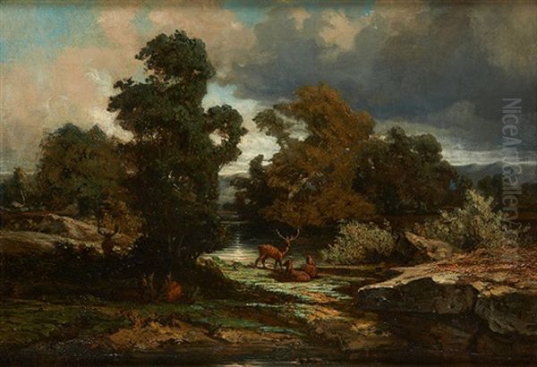 Cerfs Et Biches Au Bord D'un Ruisseau Oil Painting by Martinus Antonius Kuytenbrouwer the Younger