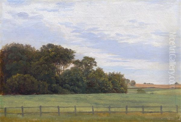 Sommerlandschaft Bei Jyderup Auf Seeland Oil Painting by Vilhelm Peter Karl Kyhn