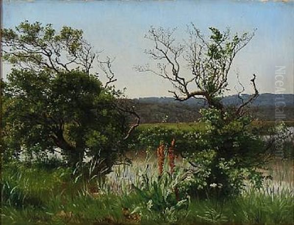 Landscape From Ry, Denmark Oil Painting by Vilhelm Peter Karl Kyhn