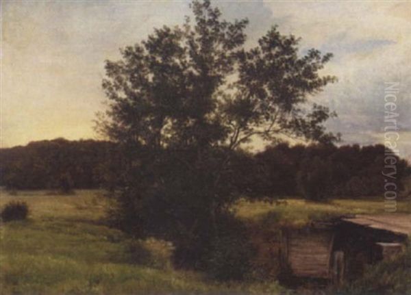 Parti Fra Et Ellekrat I Rold Skov, I Baggrunden Gylden Aftenhimmel Oil Painting by Vilhelm Peter Karl Kyhn