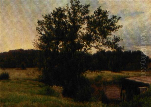 Parti Fra Ellekrat I Rold Skov, I Baggrunden Gylden Aftenhimmel Oil Painting by Vilhelm Peter Karl Kyhn