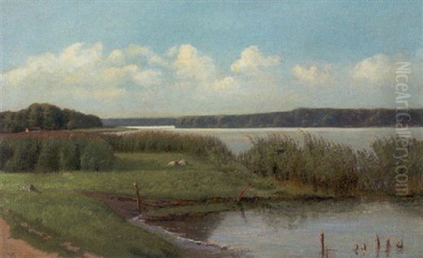 Dansk Sommerlandskab, Parti Fra Sobred Oil Painting by Vilhelm Peter Karl Kyhn