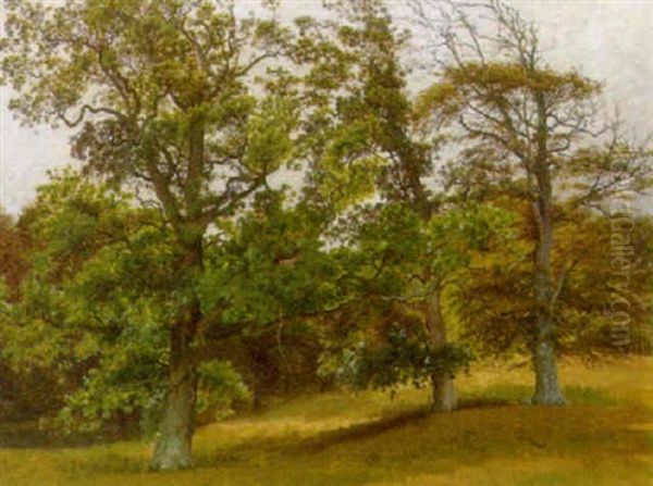 Skovparti Oil Painting by Vilhelm Peter Karl Kyhn