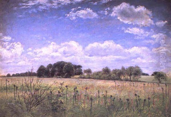 Marklandskab, Sommerdag Oil Painting by Vilhelm Peter Karl Kyhn