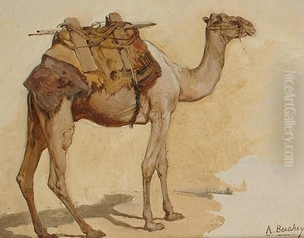 Study Of A Camel Oil Painting by Anne Phyllis Beechey