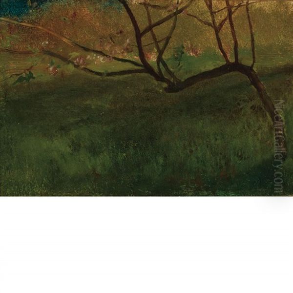 Study Of Apple Tree, Spring Oil Painting by John La Farge